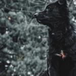 Программы лояльности казино без депозита