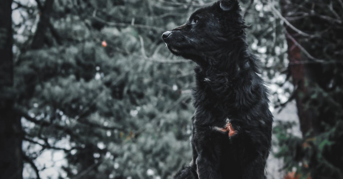 Программы лояльности казино без депозита